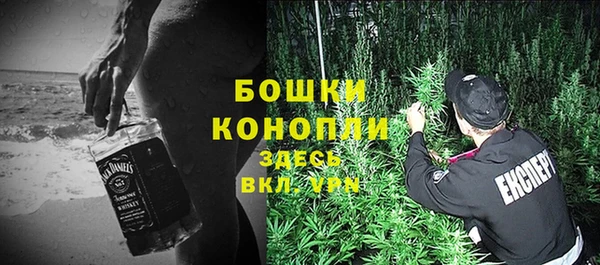 дурь Гусиноозёрск