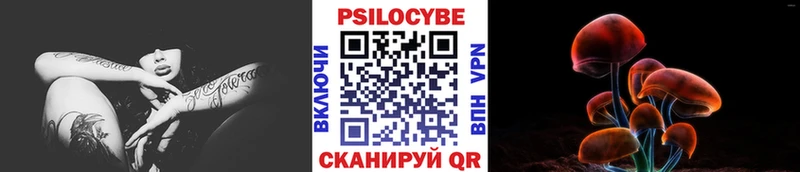 Псилоцибиновые грибы Cubensis  Батайск 
